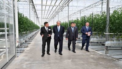 Cumhurbaşkanı Almatı bölgesindeki endüstriyel sera kompleksini ziyaret etti